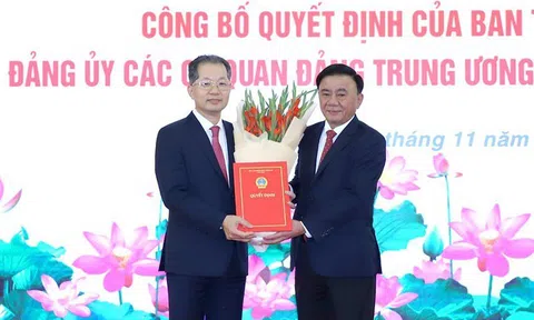 Ông Nguyễn Văn Quảng giữ chức Bí thư Đảng ủy Tòa án nhân dân tối cao