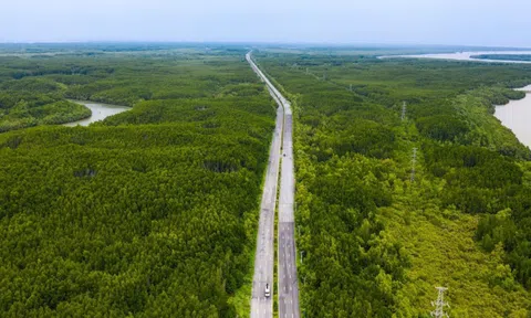 TP HCM giao Vingroup nghiên cứu đường vượt biển phía nam