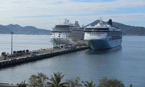 Du lịch tàu biển khởi sắc trở lại