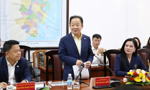 T&T Group đề xuất đầu tư nhiều dự án chiến lược tại tỉnh Khánh Hòa