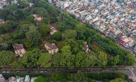 KHU TƯỞNG NIỆM NẠN NHÂN COVID-19 Ở TP HCM: Biểu tượng tinh thần, bản sắc