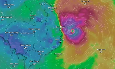 Bão số 13 Kalmaegi giật trên cấp 17, còn cách Quy Nhơn 190 km