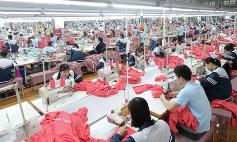 May Sông Hồng báo lãi kỷ lục quý III/2025