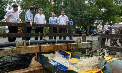 Lãnh đạo TP HCM thăm làng mai Bình Lợi ngập do triều cường