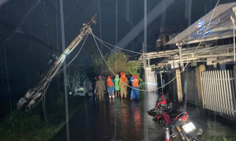 Bão số 13 Kalmaegi: Những thiệt hại nặng nề ở Gia Lai, Đắk Lắk