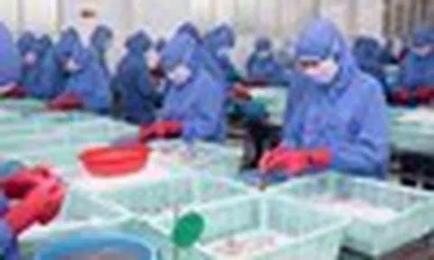 Cổ phiếu cần quan tâm ngày 5/11