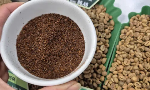 Giá cà phê hôm nay 7-11: Bất ngờ bốc hơi 3 con số