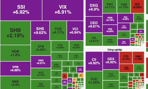 Chứng khoán thăng hoa, sắc xanh tím phủ rộng toàn thị trường