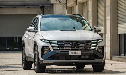 Ngân sách 800 triệu, chọn SUV nào gia đình?