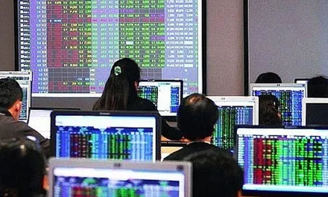 Thị trường tiền số hôm nay, 7-11: Một công ty chứng khoán bất ngờ gác kế hoạch lập sàn