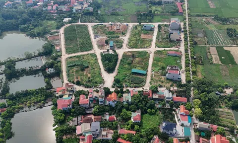 'Bảng giá đất tăng, không doanh nghiệp nào có thể giảm giá nhà'