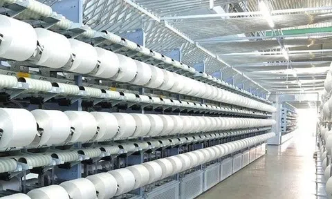 Sợi Thế Kỷ tăng vốn điều lệ vượt 1.400 tỷ đồng sau đợt trả cổ tức