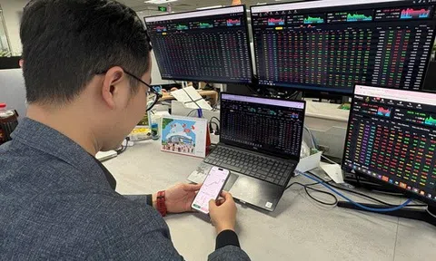 Chứng khoán mất 200 điểm: Diễn biến bình thường