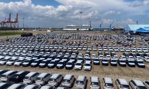 Hình ảnh hàng ngàn chiếc ô tô nhập về cảng TP HCM