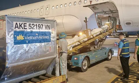 Gần 500kg hàng hóa hỗ trợ vùng lũ đã được Vietnam Airlines vận chuyển đến Huế