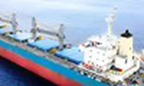 Cổ phiếu cần quan tâm ngày 12/11