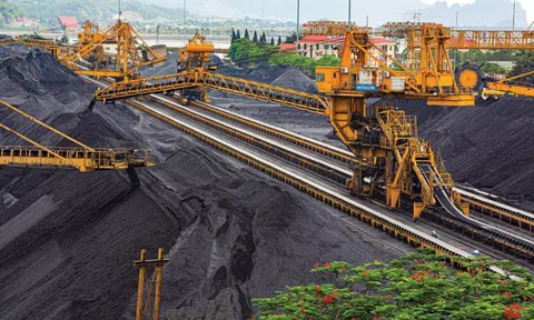 TKV chính thức sáp nhập thêm 2 công ty con