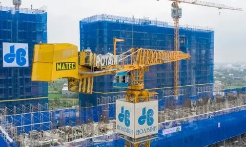 Tập đoàn Hòa Bình có hàng trăm tỷ tiền mặt vẫn... khất nợ