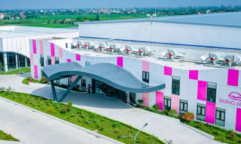 May Sông Hồng sắp tạm ứng cổ tức, gia đình Chủ tịch Bùi Đức Thịnh nhận về gần 200 tỷ đồng