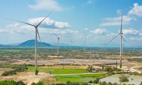 Hai công ty năng lượng bị xử phạt do công bố thông tin sai lệch