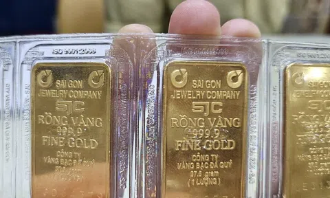 Sáng 12-11, giá vàng miếng SJC, vàng nhẫn cao chót vót