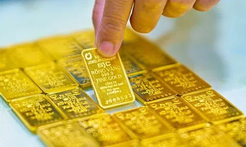 Giá vàng hôm nay 13/11: Vàng thế giới lên cao, SJC tiếp tục "leo đỉnh"