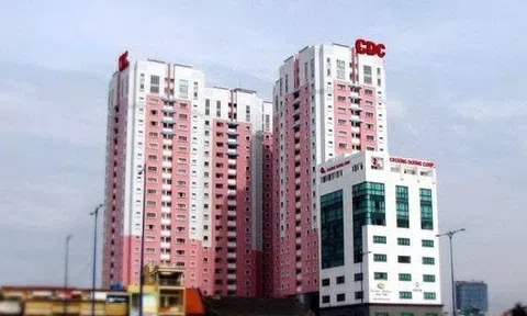 Thêm cổ đông cá nhân nắm trên 5% vốn tại Chương Dương Corp