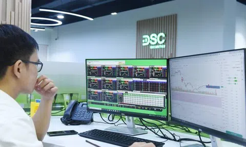 Chứng khoán DSC có cổ đông lớn mới