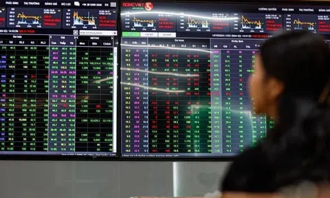 'Biến mất' cổ phiếu nghìn tỷ trên thị trường