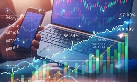 Lý do 2 công ty chứng khoán vừa bị xử phạt