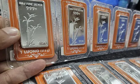 Giá bạc hôm nay 14-11: Duy trì mốc cao, mỗi kg bạc vượt 56 triệu đồng