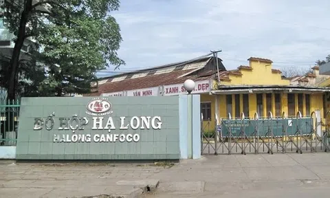 Doanh thu Đồ hộp Hạ Long có thể phục hồi từ "thực phẩm thú cưng"?