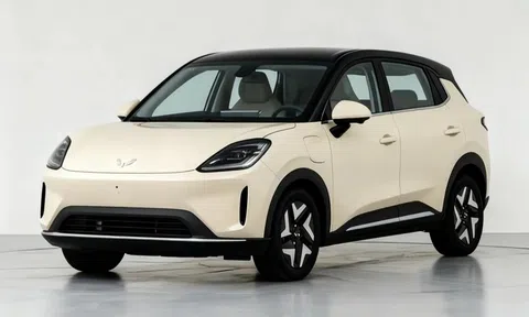 Xe điện 'ế' tại Việt Nam lại có bản mới