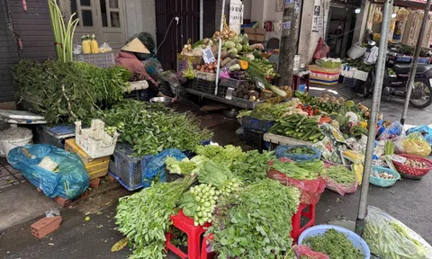 Rau xanh tăng chóng mặt ở chợ bán lẻ, nhiều bà nội trợ thở dài