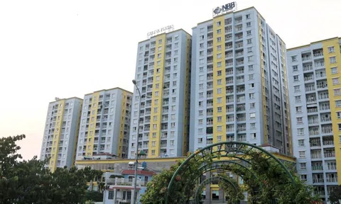 CII tái cơ cấu cổ phiếu NBB