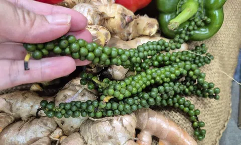 Mỹ chính thức miễn thuế đối ứng với cà phê, tiêu