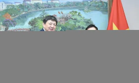 Phó thủ tướng đề nghị tập đoàn Trung Quốc tăng đầu tư vào Việt Nam