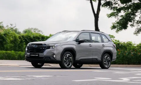 Subaru Forester nhập Nhật chốt giá từ 1,3 tỷ đồng