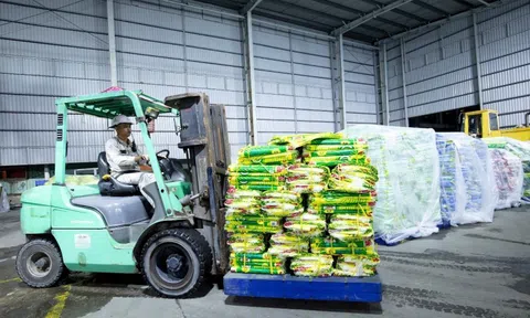 PVCFC khẩn cấp hỗ trợ vật tư chống lũ tại Đà Nẵng và Đắk Lắk