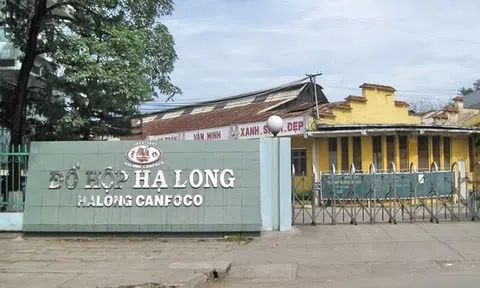 Doanh thu Đồ hộp Hạ Long có thể phục hồi từ "thực phẩm thú cưng"?