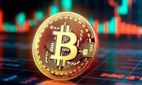 Thị trường tiền số hôm nay, 17-11: Nhà đầu tư hoảng loạn