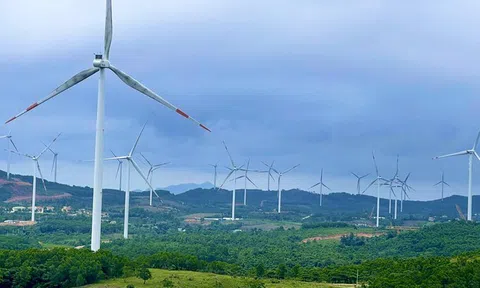 Điện gió Quảng Trị cắt giảm công suất, hướng đi nào cho phát triển năng lượng tái tạo bền vững?