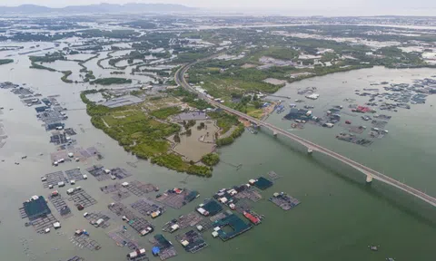 Hiện trạng hòn đảo rộng gần 1.400 ha Sun Group đề xuất đầu tư ở TP.HCM