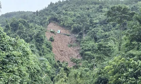 Vụ sạt đèo Khánh Sơn: Tìm thấy thi thể nạn nhân cuối cùng