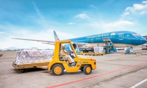 Lãi kỷ lục trong quý 3, một doanh nghiệp trên HOSE muốn nâng kế hoạch kinh doanh, sắp trả cổ tức tiền mặt 80%