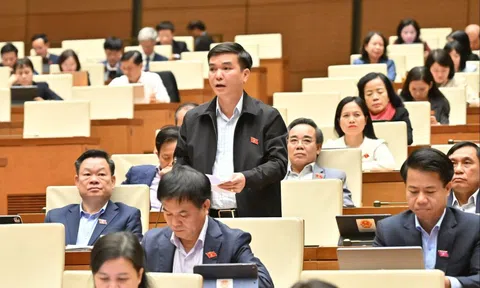 Cần cấm tuyệt đối ép mua bảo hiểm khi vay ngân hàng