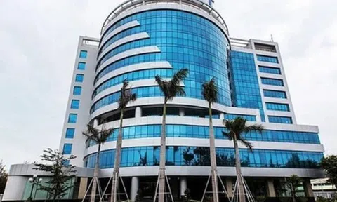 VNPT muốn bán đấu giá cả lô hơn 2,1 triệu cổ phiếu VTC