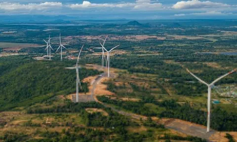 Gia Lai sắp có nhà máy điện gió hơn 48.000 tỷ đồng