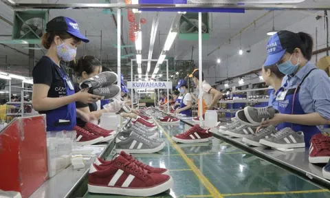 UBND TP Hà Nội thoái vốn khỏi một doanh nghiệp gần 70 năm tuổi