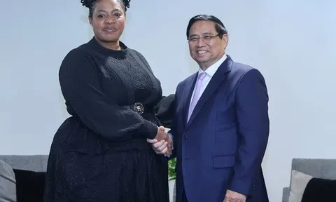 Thủ tướng kết nối hợp tác giữa hai tập đoàn dầu khí quốc gia của Việt Nam, Nam Phi